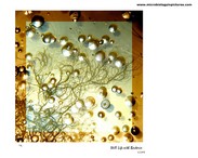 still life with bacteria
